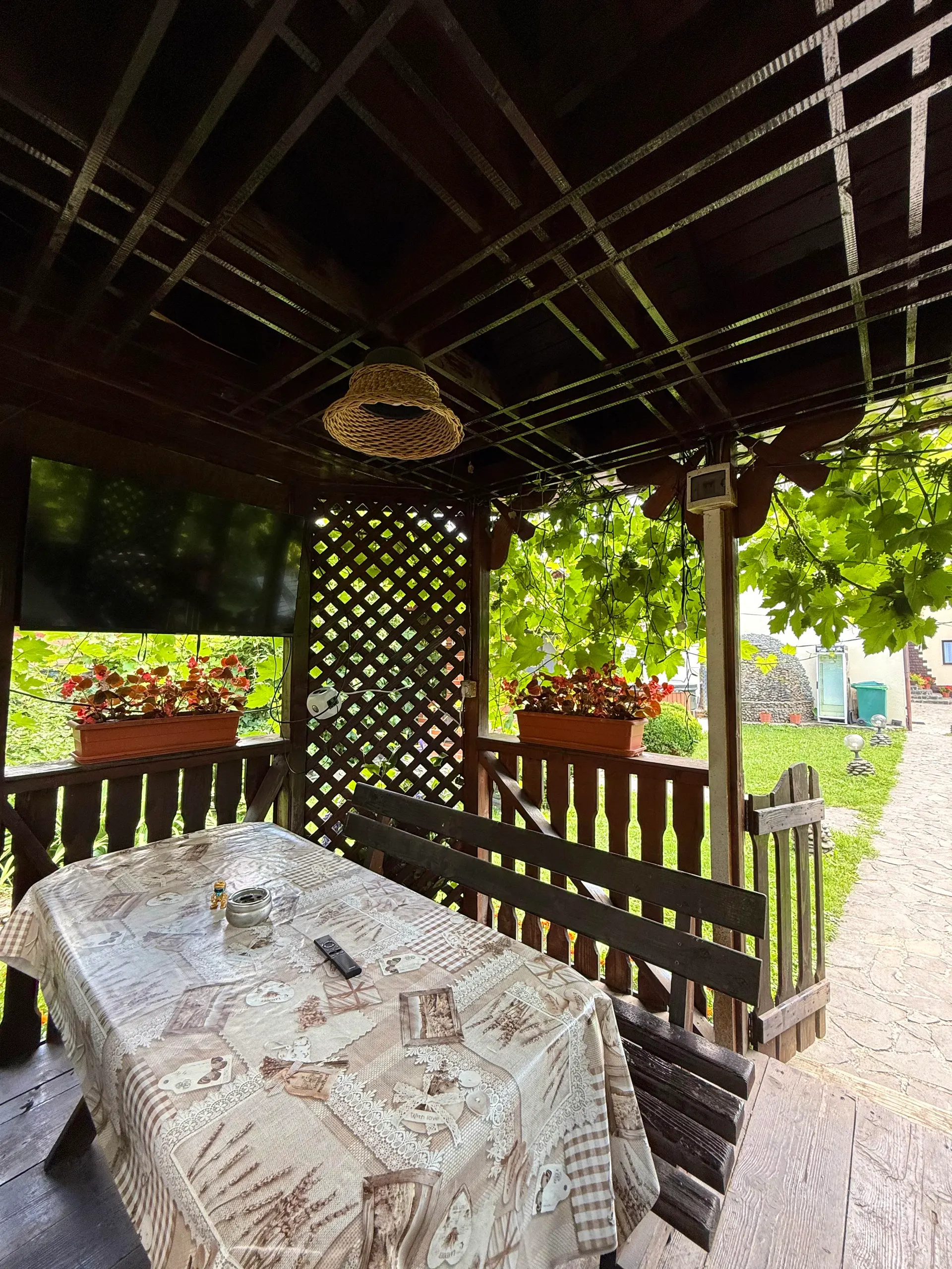 Ciupercă în Aer Liber